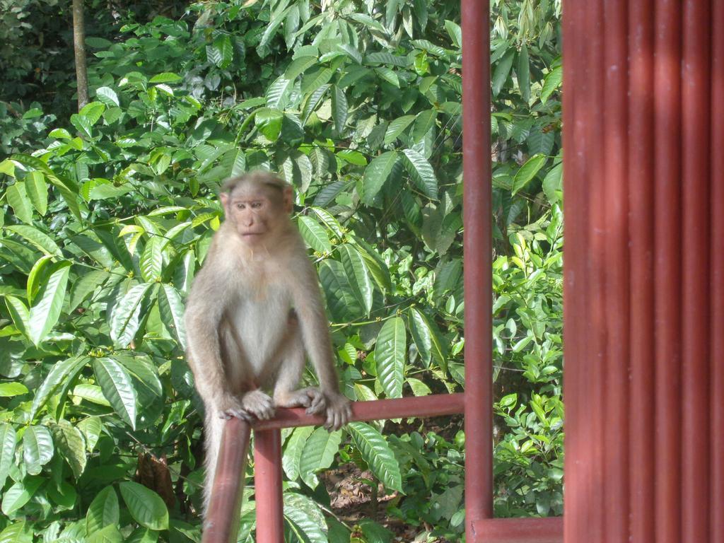 Jungleparadiso Homestay Thekkady Exterior foto