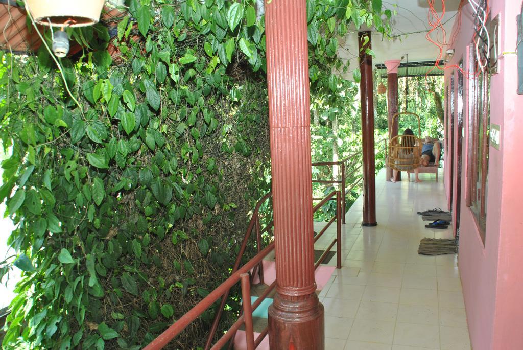 Jungleparadiso Homestay Thekkady Exterior foto