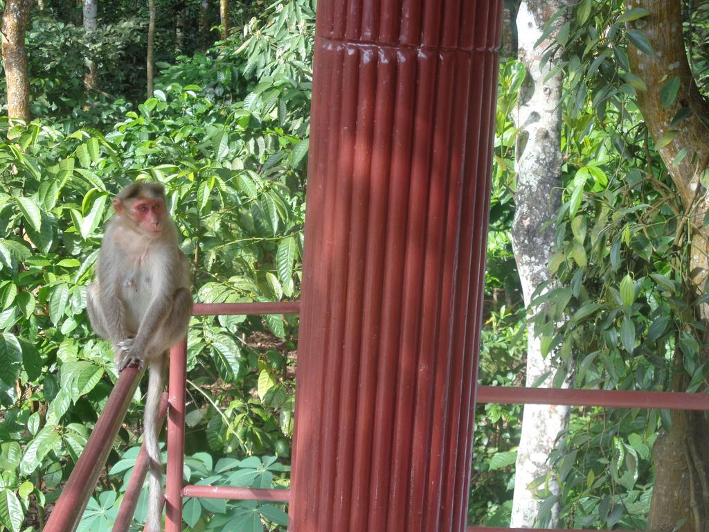 Jungleparadiso Homestay Thekkady Exterior foto