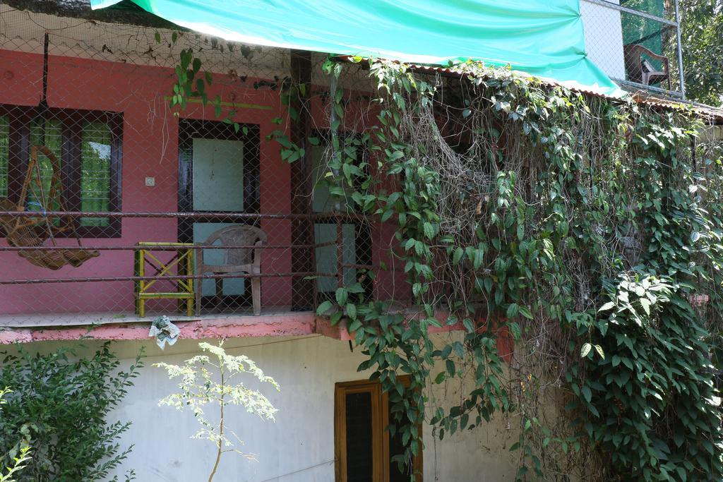 Jungleparadiso Homestay Thekkady Exterior foto
