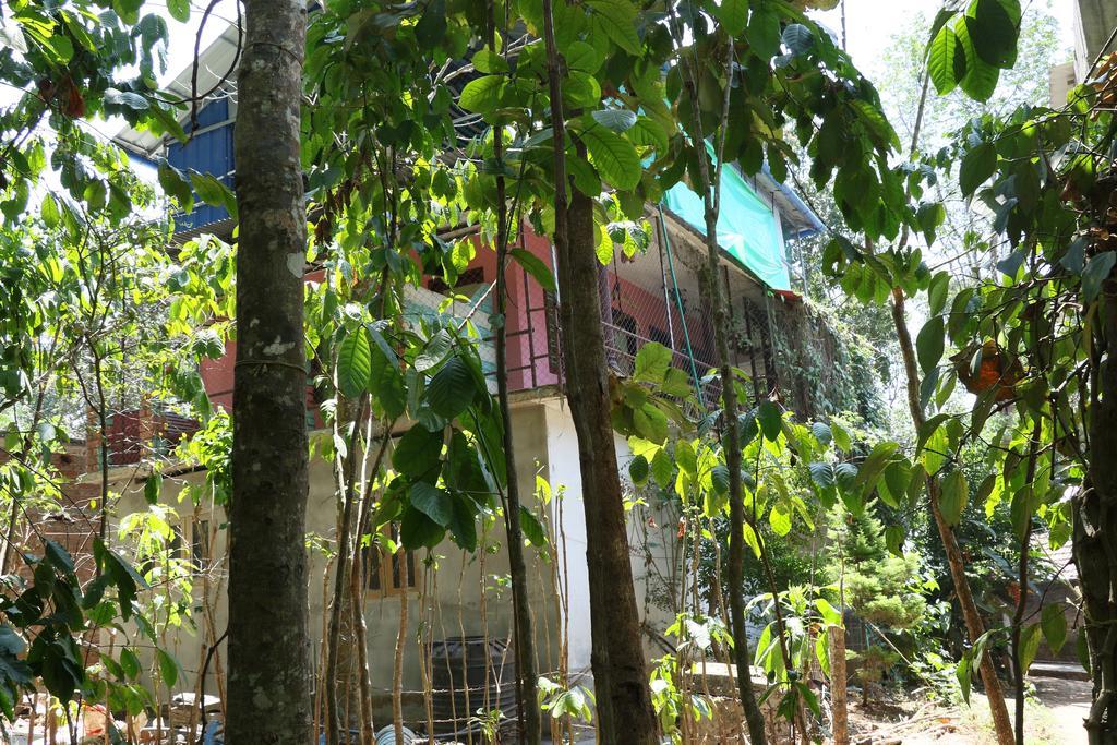 Jungleparadiso Homestay Thekkady Exterior foto