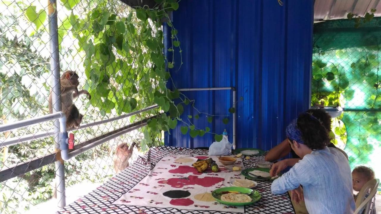 Jungleparadiso Homestay Thekkady Exterior foto